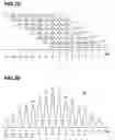 Fig. 12 - Optical pulse time spreading device