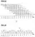 Fig. 14 - Optical pulse time spreading device