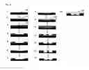 Fig. 03 - FILTER AND METHOD OF MANUFACTURING THE SAME