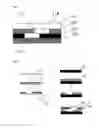 Fig. 05 - FILTER AND METHOD OF MANUFACTURING THE SAME