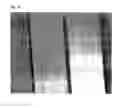 Fig. 10 - FILTER AND METHOD OF MANUFACTURING THE SAME