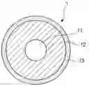 Fig. 01 - Developing roller, developing assembly, process cartridge and electrophotographic image forming apparatus