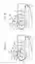 Fig. 04 - Image forming apparatus