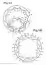 Fig. 07 - Internal gear pump