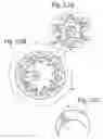 Fig. 14 - Internal gear pump