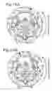 Fig. 17 - Internal gear pump