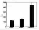 Fig. 01 - Methods for detecting and treating autoimmune disorders