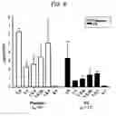 Fig. 07 - Methods for detecting and treating autoimmune disorders