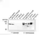 Fig. 05 - Use of cytochrome P450 reductase as insecticidal target