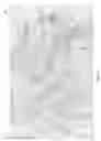 Fig. 05 - Treatment using herpes simplex virus