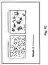 Fig. 05 - Methods and compositions for optimized expansion and implantation of mesenchymal stem cells