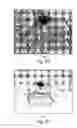 Fig. 03 - Muscle derived cells for the treatment of cardiac pathologies and methods of making and using the same