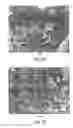 Fig. 04 - Muscle derived cells for the treatment of cardiac pathologies and methods of making and using the same