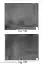 Fig. 12 - Muscle derived cells for the treatment of cardiac pathologies and methods of making and using the same