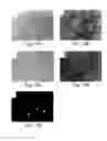 Fig. 16 - Muscle derived cells for the treatment of cardiac pathologies and methods of making and using the same