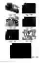 Fig. 19 - Muscle derived cells for the treatment of cardiac pathologies and methods of making and using the same