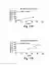 Fig. 21 - Muscle derived cells for the treatment of cardiac pathologies and methods of making and using the same