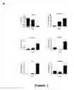 Fig. 02 - Embryonic Stem Cell Derivatives, and Methods of Making and Using the Same