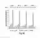 Fig. 11 - Methods for treating HIV