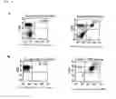 Fig. 03 - Epitope/peptide recognized by HLA-A2402-restricted Ep-CAM-specific CTL and use of the same