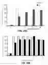 Fig. 12 - PHARMACEUTICAL COMPOUND FOR EFFECTING LOCALIZED, NON-SYSTEMIC AND SYSTEMIC, IMMUNOGENIC TREATMENT OF CANCER USING CRT OR ERP57 TRANSLOCATION