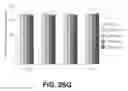 Fig. 13 - PHARMACEUTICAL COMPOUND FOR EFFECTING LOCALIZED, NON-SYSTEMIC AND SYSTEMIC, IMMUNOGENIC TREATMENT OF CANCER USING CRT OR ERP57 TRANSLOCATION