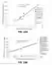 Fig. 17 - PHARMACEUTICAL COMPOUND FOR EFFECTING LOCALIZED, NON-SYSTEMIC AND SYSTEMIC, IMMUNOGENIC TREATMENT OF CANCER USING CRT OR ERP57 TRANSLOCATION