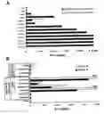 Fig. 01 - Peptides of a melanoma antigen and their use in diagnostic, prophylactic, and therapeutic methods