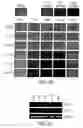 Fig. 06 - Genetically engineered swine influenza virus and uses thereof