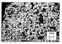 Fig. 01 - ANTIMICROBIAL MATERIAL FOR IMPLANTING IN BONES