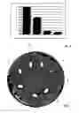 Fig. 03 - ANTIMICROBIAL MATERIAL FOR IMPLANTING IN BONES