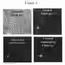 Fig. 05 - Steroid lipid-modified polyurethane as an implantable biomaterial, the preparation and uses thereof