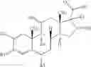 Fig. 22 - Polymeric gel delivery system for pharmaceuticals