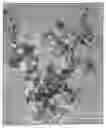 Fig. 01 - Superfine powders and their methods of manufacture