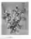 Fig. 03 - Superfine powders and their methods of manufacture