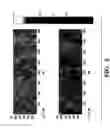 Fig. 03 - Method of producing a data storage medium