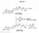 Fig. 03 - Composition and Method for Treating Inflammatory Disease