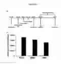 Fig. 17 - Composition and Method for Treating Inflammatory Disease