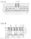 Fig. 09 - NONVOLATILE SEMICONDUCTOR MEMORY DEVICE AND METHOD FOR FABRICATING THE SAME