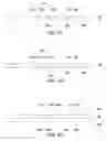 Fig. 04 - Heat-conductive package structure
