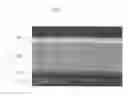 Fig. 07 - Plasma display panel with reduced power consumption and enhanced luminance