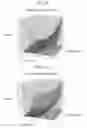 Fig. 07 - Ultrasonic imaging apparatus