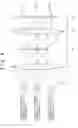 Fig. 05 - THREE-DIMENSIONAL IMAGE DISPLAY APPARATUS