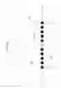 Fig. 07 - Plasmon multiplexing
