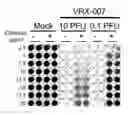 Fig. 01 - Screening tool for antiviral agents