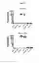 Fig. 09 - Screening tool for antiviral agents