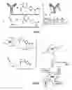 Fig. 02 - Methods and systems for detecting and/or sorting targets