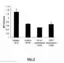 Fig. 03 - Viral Vectors