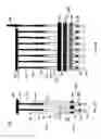 Fig. 02 - DETECTION AND MIXING IN A CONDUIT IN INTEGRATED BIOANALYSIS SYSTEMS