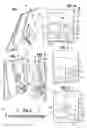 Fig. 02 - Display easel, device and method